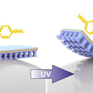 ((c) Emre Kizilkan und Jan Strüben)