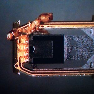 1. Ameiseninvasion – Ein Kunde erlebte durch Ameisen, die sich in seiner externen Festplatte eingenistet hatten, eine unliebsame Überraschung. Er versuchte zunächst, die Festplatte zu retten indem er die äußere Hülle entfernte und das Innenleben mit Insektenvernichtungsmittel besprühte. Die Ameisen suchten das Weite, aber die Ingenieure von Kroll Ontrack ließen sich nicht davon abschrecken.