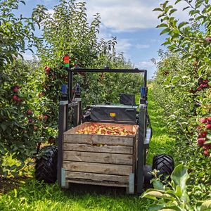 Platz 4: Erntehelfer „AurOrA“ wird künftig autonom durch die Reihen der Apfelplantage navigieren und Obstkisten detektieren, aufnehmen und an einen definierten Entladepunkt transportieren.(Bild:  hochschule 21)