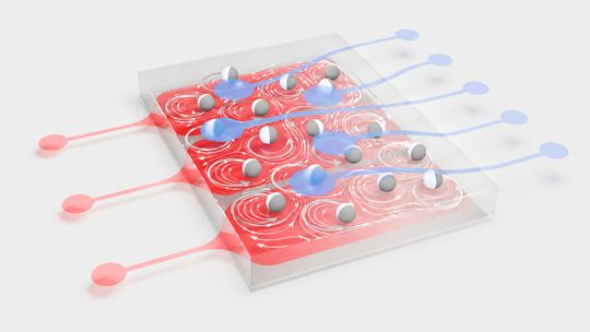 Vorhersehbares Chaos? Forscher aus Konstanz und Stuttgart haben zum ersten Mal mit einem System aus Flüssigkeit und Teilchenkollektiv gerechnet, statt mit elektronischen Schaltkreisen. Damit ist das sogenannte Reservoir Computing erstmals in der Praxis abgelaufen ...(Bild:  Universität Konstanz)
