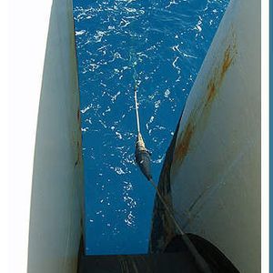 Arbeit auf See: Das Glasfaserkabel wir ausgebracht, Bild: Seacom