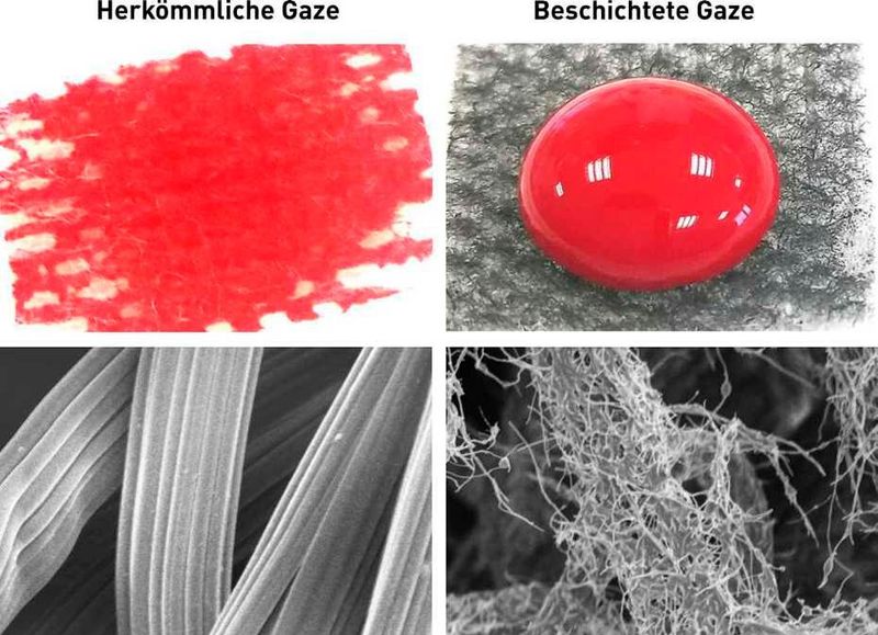 Links eine herkömmliche Baumwoll-​Gaze. Sie saugt Blut auf. Rechts die mit Kohlenstoff-​Nanofasern beschichtete Gaze. Unten: Elektronenmikroskopie-​Bilder zeigen Nahaufnahmen der Baumwollfasern. (Li Z et al. Nature Communications 2019)