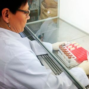 ((c) Institut für Klinische Molekularbiologie/CAU)