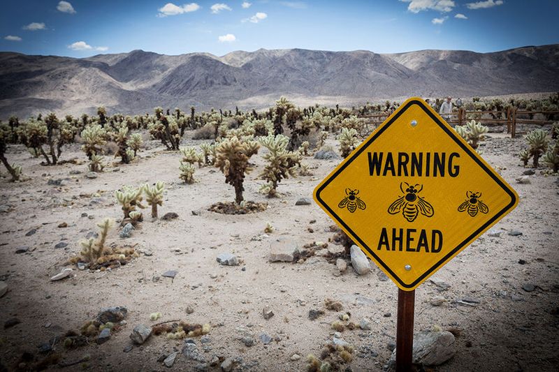 Die Killer-Bienen (bis 2,5 Gramm) Killer-Bienen sind externe Unternehmen oder Einzelpersonen wie Investmentbanker, Wirtschaftsprüfer, Anwälte oder Steuerexperten, die von einem von einer Übernahme bedrohten Unternehmen beschäftigt werden, um ein Übernahmeangebot abzuwehren. Ziel ist es, verschiedene Anti-Übernahme-Strategien zu identifizieren und anwenden, um das Zielunternehmen wirtschaftlich unattraktiv und die Übernahme kostspieliger zu machen (siehe „die Haifische“ und „shark repellents“). (Bild: © Gerald - stock.adobe.com)