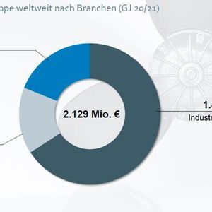 Bild 1: Weltweiter Umsatz der ebm-papst Grupe nach Branchen im Jahr 2020/21.