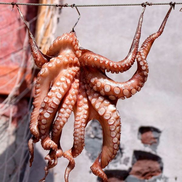 Die EU hat Google am Haken und verlangt eine Milliardenstrafe von dem US-Konzern. (Pixabay)