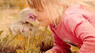 Smell is at least one thing, everyone on the globe agrees on. (Public Domain)