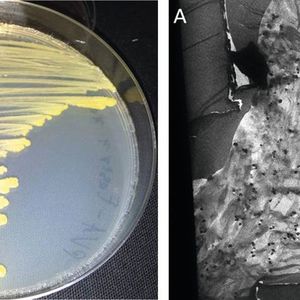 (Bild: Uni Bayreuth)