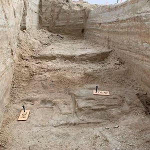 Prints at base of trench, White Sands National Park.(Source:  USGS)