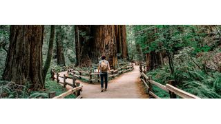 Immer mehr Unternehmen wollen IoT-Technologien nutzen, stellen sich aber eine zentrale Frage: Make or buy? (Bild: gemeinfrei)