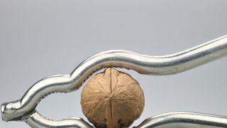 Nicht verzagen, Bungartz fragen: Die Problemlöser des Kreiselpumpen-Spezialisten knacken selbst härteste Nüsse. So beispielsweise ... siehe Bildergalerie (© B. Wylezich - fotolia.com)