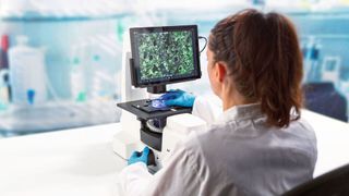 So wie KI uns bereits in unserem täglichen Leben unterstützt, kann sie auch im Zelllabor  wiederkehrende Arbeitsabläufe deutlich effizienter und reproduzierbarer gestalten. (Bild: photodesign ag, ZEISS)