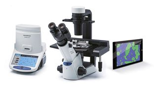 Mit der neuen Software CKX-CCSW stellt Olympus Anwendern in der Zellkultur ein Tool zur Verfügung, mit dem sich die Anzahl der Zellen schnell und exakt ermitteln lässt. (Olympus)