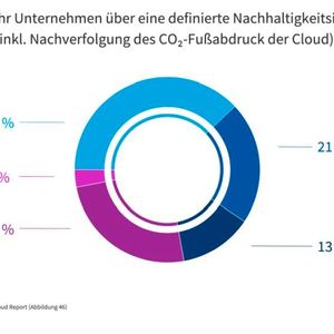 Weltweit scheinen Nachhaltigkeitsinitiativen zu stagnieren, während Europa weiter Kurs hält.(Bild:  Flexera)
