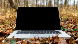 Unternehmen favorisieren den Einsatz von Open-Source-Software, um Kosten zu sparen, die Sicherheit und Kompatibilität zu erhöhen oder auch leichter Anbieter wechseln zu können. (gemeinfrei© StockSnap)