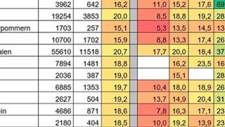 Frauenanteile je Bundesland und Informatik-Studienfach für das Wintersemester 2016/17  (Statistisches Bundesamt/CHE)