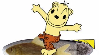 Warum sich vorteilhafte Formen in der Natur kaum noch verändern und weitere Gestaltänderungen eher nachteilig sind, zeigen Formoptimierungsexperten vom KIT hier.  (Bild: Mattheck)