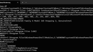 „Set“ ist ein Befehlszeilen-Tool in „Windows“-Oberflächen.  (Bild: Thomas Joos)