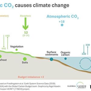 (Global Carbon Project)