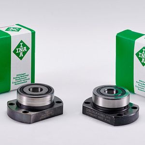 (Aktion Plagiarius e.V.)