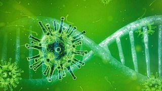 Der Zentralverband Deutsches Handwerk (ZDH) führt unter den Handwerksbetrieben eine Online-Umfrage durch, um die finanziellen Auswirkungen der Corona-Krise zu erfassen.  (Bild: gemeinfrei)