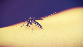 New findings confirm the potential of seasonal vaccination to provide a high level of protection in young children. (Source: free licensed)