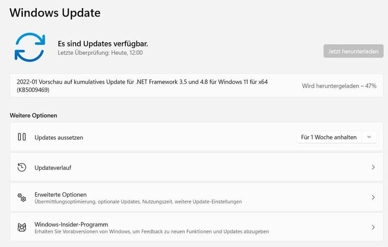 Installieren von neuen Updates in Windows 11. (Joos)