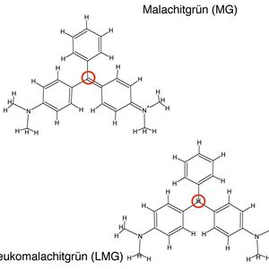 Abb.1b: Die Strukturformeln von Malachitgrün und Leukomalachtigrün