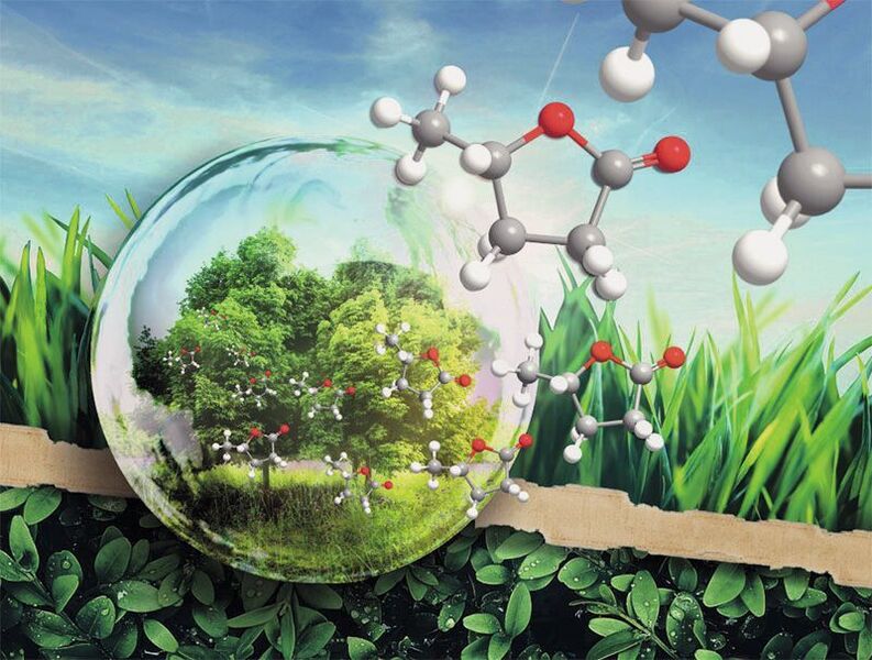 Chemiker der Universität Regensburg haben das vielversprechende, „grüne“ Lösungsmittel „γ-Valerolacton“ (GVL) genauer untersucht.  (Florian Kerkel, Prof. Dr. Werner Kunz)
