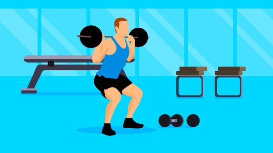 FAU researchers are investigating how mechanical processes regulate muscle development.(Source:  free licensed /  Pixabay)