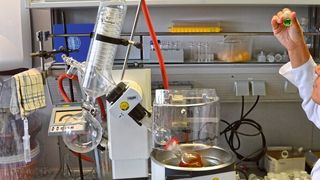 Abb.1: Meza inspiziert die grüne Ru(III)-Lösung. Sie entsteht am Ende der photokatalytischen Experimente aus dem orange gefärbten Ru(II) und signalisiert den Verbrauch des Katalysators am Ende seiner Lebenszeit. (LABORPRAXIS)