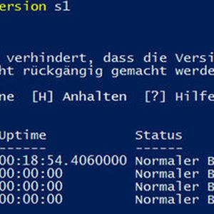 Nach der Aktualisierung der VM-Version sind VMs zwar nicht mehr kompatibel mit Windows Server 2012 R2, können aber die neuen Funktionen von Windows Server 2016 nutzen.