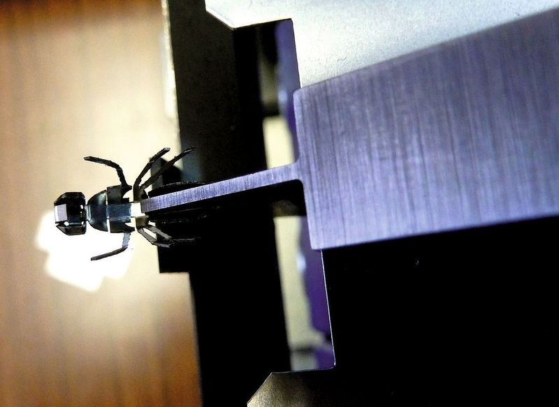 Mit Flügeln wäre sie bestimmt schon weggeflogen. Bild: Kuhn (Archiv: Vogel Business Media)