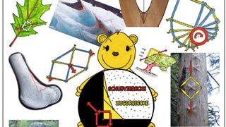 Mehr über Kerbformoptimierung und die Natur der Kerbspannungen findet man in Prof. Matthecks Buch. (Bild: Mattheck)