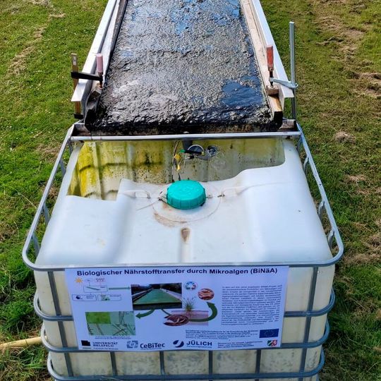 Die Versuchsanlage zur Algenproduktion ist neben der Kläranlage Lichtenau aufgebaut. Die Versuchsanlage zur Algenproduktion ist neben der Kläranlage Lichtenau aufgebaut.