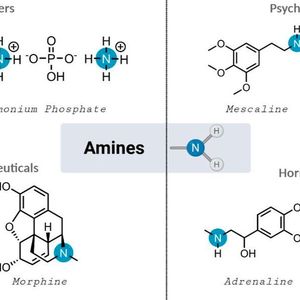 (Universität Wien/ Maulide Group)