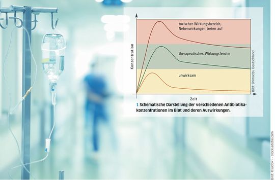 Fig. 1 : Représentation schématique des différentes concentrations d'antibiotiques dans le sang et de leurs effets.(Image : Shimadzu Allemagne ; ©sudok1 - stock.adobe.com)
