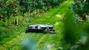 Scarabaeus, der innovative Mulchroboter zur Pflege von Obstplantagen und Grünflächen, eine marktreife Konstruktion von Brüggli Industrie aus der Schweiz.
 (Bild: Brüggli Industrie)