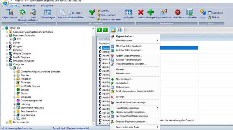 Verwalten und überwachen von Active Directory mit Hyena.  (Bild: SystemTools Software)