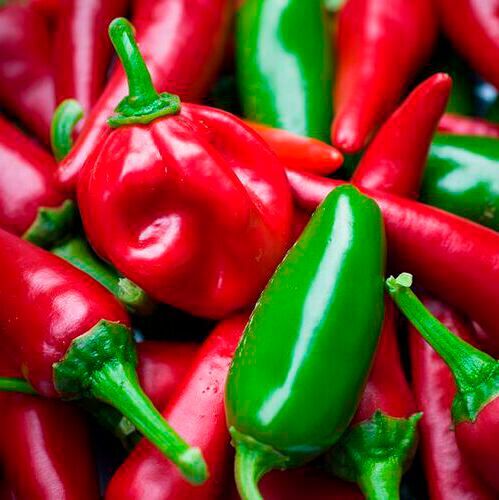 Habanero peppers respond to stress with changes in metabolites.