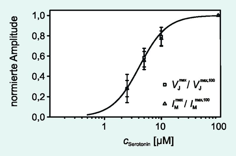 Abb. 4  Dose-Response-Plot. Die Amplituden des Transistorsignals und des Membranstroms wurden normiert und gegen die Serotonin-Konzentration aufgetragen. Der Fit nach der Hill-Gleichung ergibt eine halbmaximale Ka-nalaktivierung bei 4,2 Mikrometer und einen Hill-Koeffizienten von 1,8. (Archiv: Vogel Business Media)