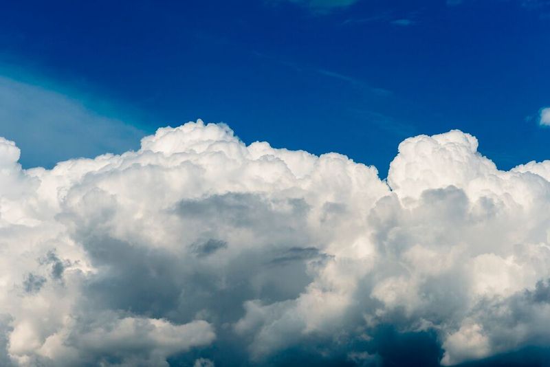 Für den Klimaschutz investierte die chemisch-pharmazeutische Industrie insgesamt 105 Millionen Euro in 2019. (Quelle: Destatis, VCI) (Bild: gemeinfrei/Alexei auf Pixabay )