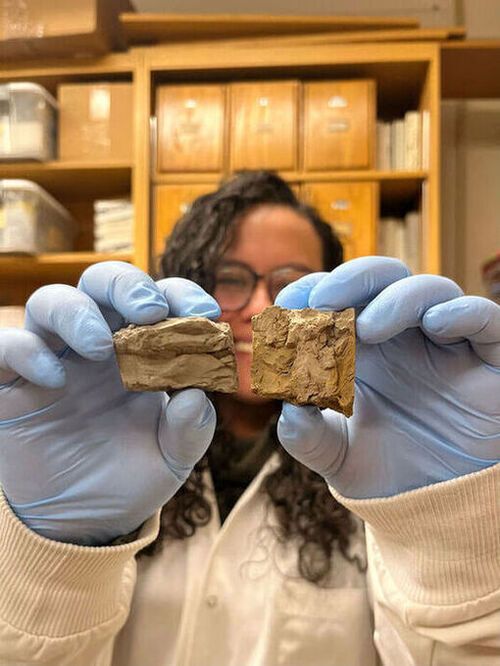 Lina Pérez-Ángel holds two sediment samples whose ages are separated by about a million years. (Source:  Ellen Jorgensen)