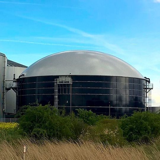 Durch die Technologie der Carbon Farming entstehen dem Unternehmen zufolge nicht nur Biomethan, sondern auch Pflanzenkohle und negative Emissionen.(Bild:  frei lizenziert /  Pixabay)