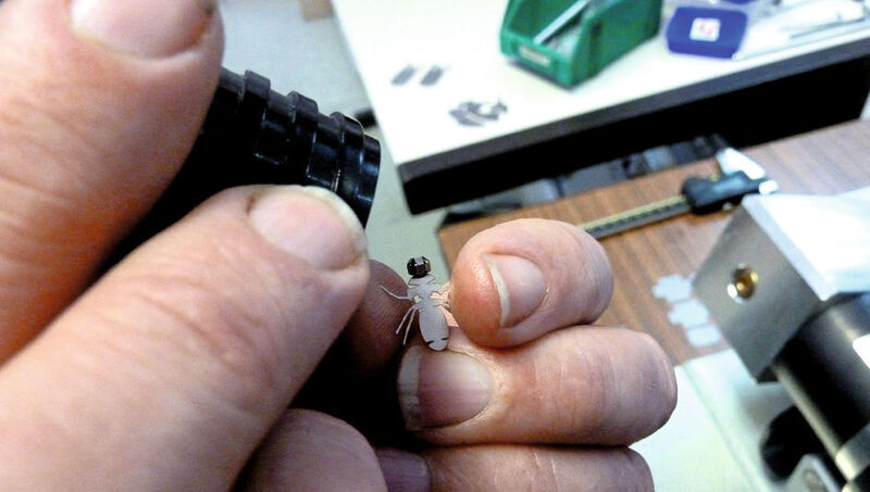 So klein und fein, dass man den Kopf der Fliege nur mit der Lupe begutachten kann. Bild: Kuhn (Archiv: Vogel Business Media)