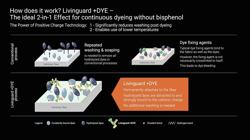 Färbeprozess mit +DYE_Livinguard (Source: Livinguard Technologies)