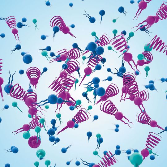 Lipide sind Bausteine lebender Zellen und für die Herstellung von Arzneimitteln auf mRNA-Basis von entscheidender Bedeutung. (Bild:  Evonik)