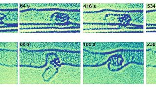 Metallnanocluster während der Reaktion in Kohlenstoffnanoröhren (Materialwissenschaftliche Elektronenmikroskopie)