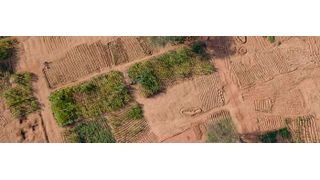 Five consecutive rainfall season failures in the Horn of Africa caused the region’s worst drought in 40 years (with Ethiopia, Kenya and Somalia particularly hard hit), contributing to reduced agricultural productivity, food insecurity and high food prices (WMO, 2023). (Source: United Nations Convention to Combat Desertification)