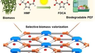 Ein neuer Katalysator erleichtert die Synthese von PEF aus Biomasse. (Bild: Wiley-VCH, Angewandte Chemie, https://doi.org/10.1002/ange.202209289)